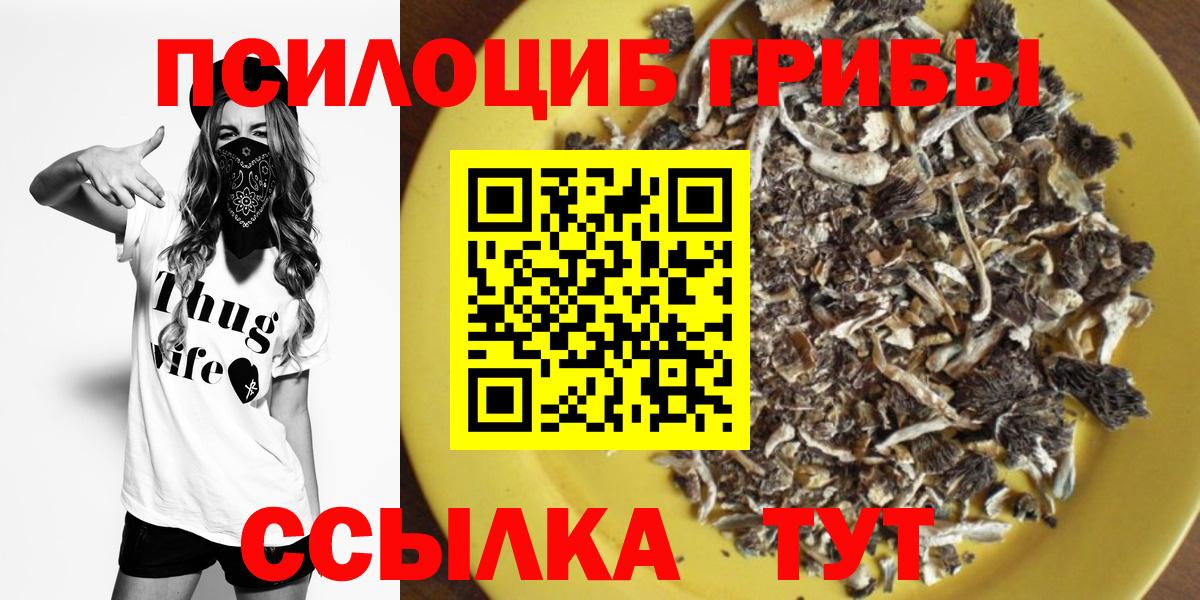 Псилоцибиновые грибы Cubensis Киселёвск