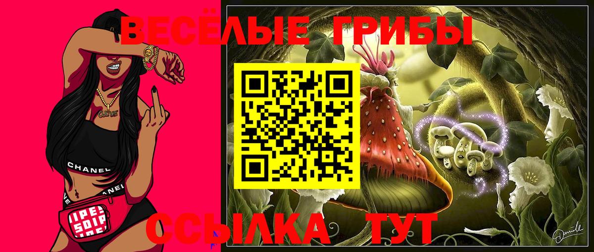 Галлюциногенные грибы прущие грибы  Вход с VPN  Киселёвск  Галлюциногенные грибы мицелий 